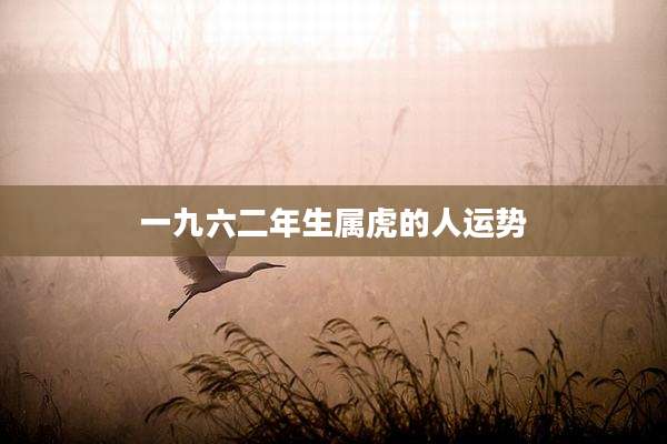 一九六二年生属虎的人运势