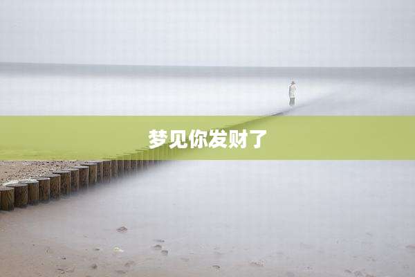 梦见你发财了