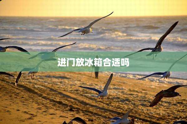 进门放冰箱合适吗