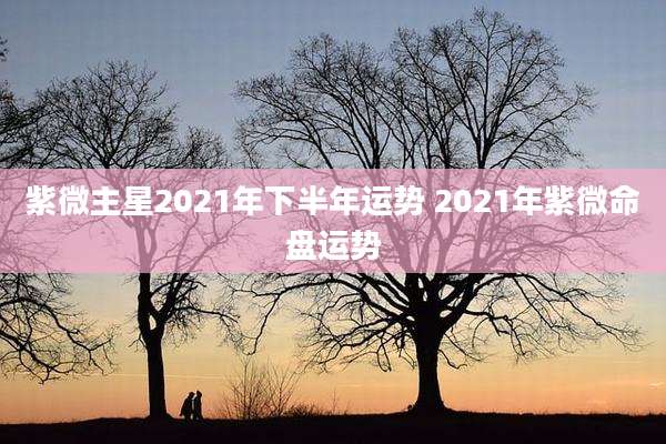 紫微主星2021年下半年运势 2021年紫微命盘运势