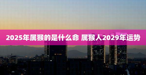 2025年属猴的是什么命 属猴人2029年运势