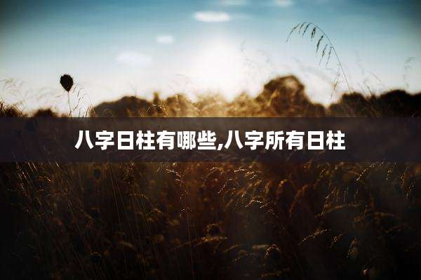 八字日柱有哪些,八字所有日柱