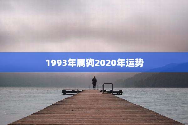 1993年属狗2020年运势