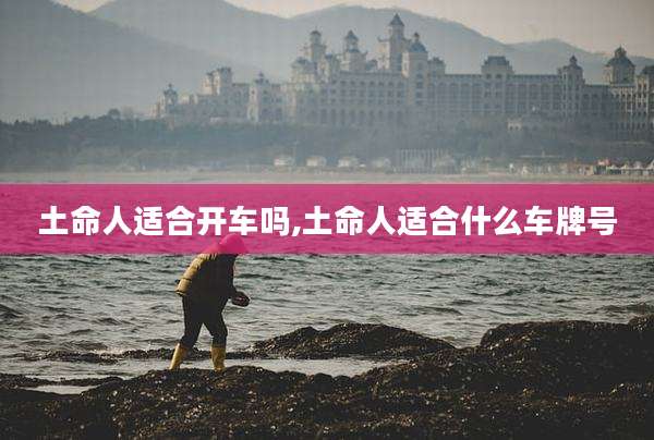 土命人适合开车吗,土命人适合什么车牌号