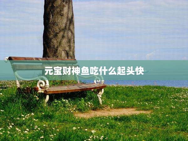 元宝财神鱼吃什么起头快