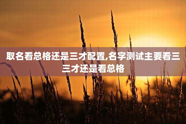 取名看总格还是三才配置,名字测试主要看三三才还是看总格