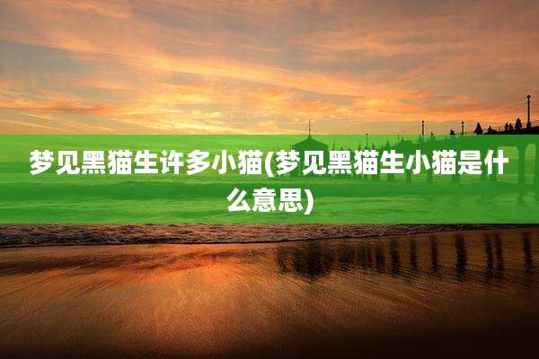 梦见黑猫生许多小猫(梦见黑猫生小猫是什么意思)