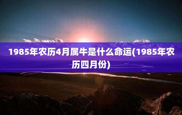1985年农历4月属牛是什么命运(1985年农历四月份)