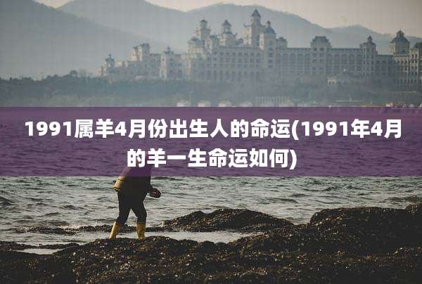 1991属羊4月份出生人的命运(1991年4月的羊一生命运如何)