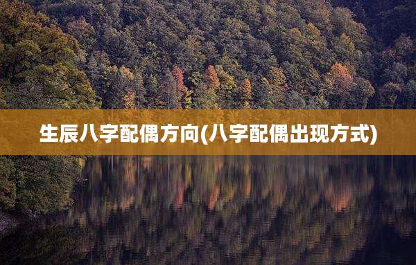 生辰八字配偶方向(八字配偶出现方式)