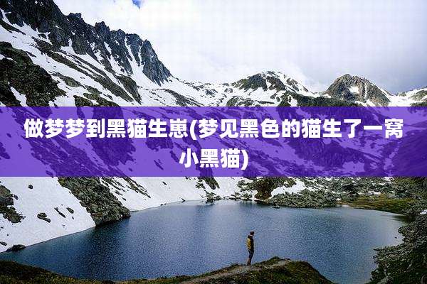 做梦梦到黑猫生崽(梦见黑色的猫生了一窝小黑猫)