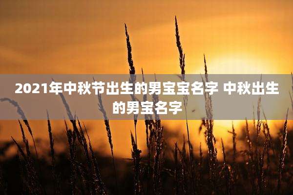 2021年中秋节出生的男宝宝名字 中秋出生的男宝名字