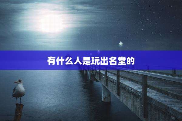 有什么人是玩出名堂的