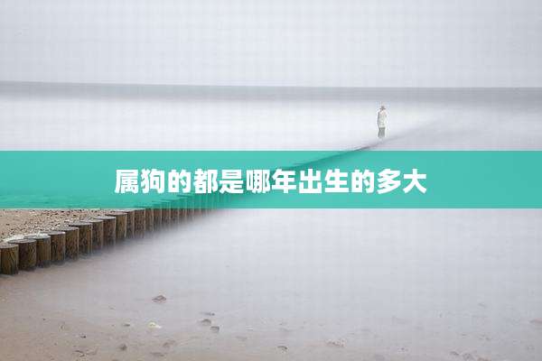 属狗的都是哪年出生的多大