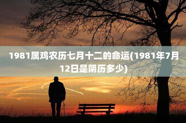 1981属鸡农历七月十二的命运(1981年7月12日是阴历多少)