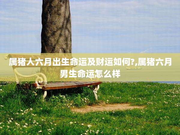 属猪人六月出生命运及财运如何?,属猪六月男生命运怎么样