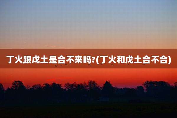 丁火跟戊土是合不来吗?(丁火和戊土合不合)
