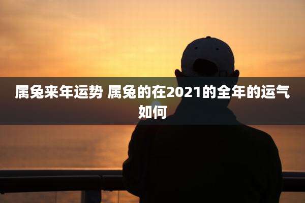 属兔来年运势 属兔的在2021的全年的运气如何