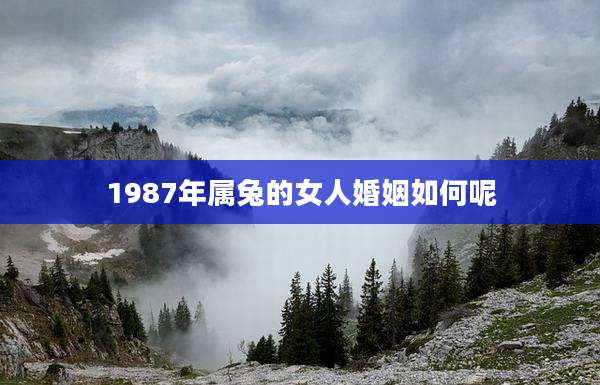 1987年属兔的女人婚姻如何呢