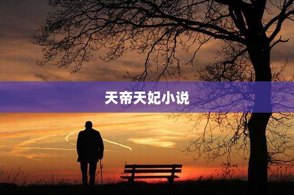 天帝天妃小说