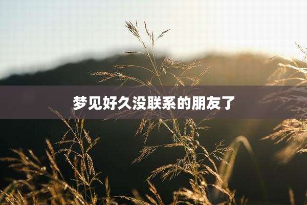 梦见好久没联系的朋友了