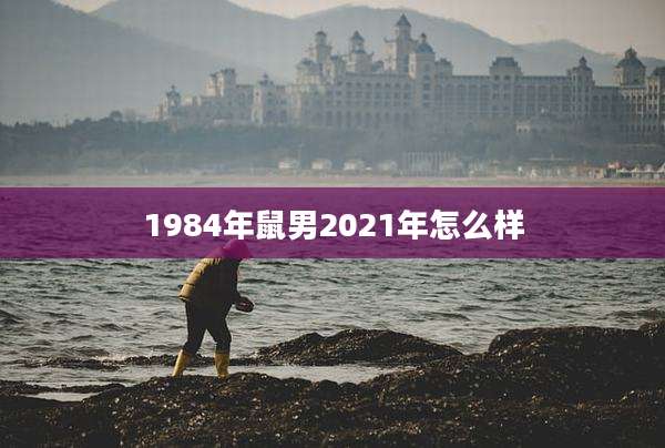 1984年鼠男2021年怎么样