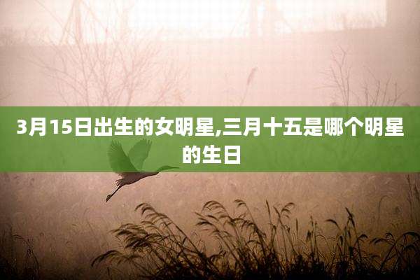 3月15日出生的女明星,三月十五是哪个明星的生日