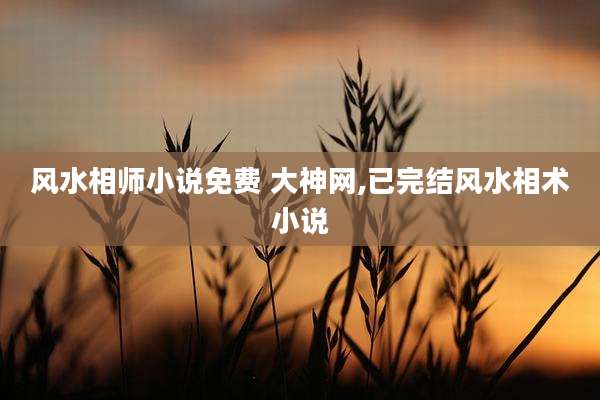 风水相师小说免费 大神网,已完结风水相术小说