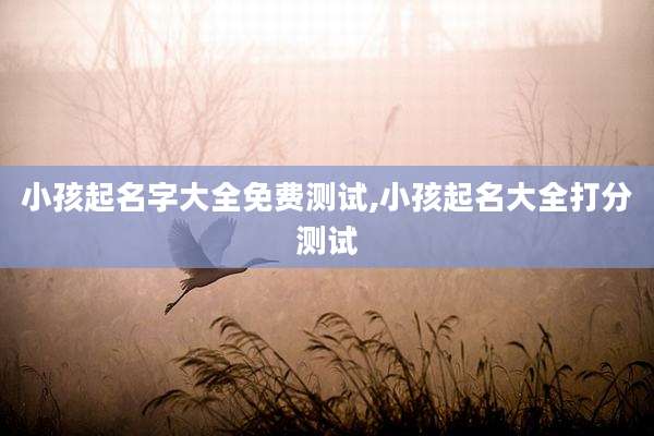 小孩起名字大全免费测试,小孩起名大全打分测试