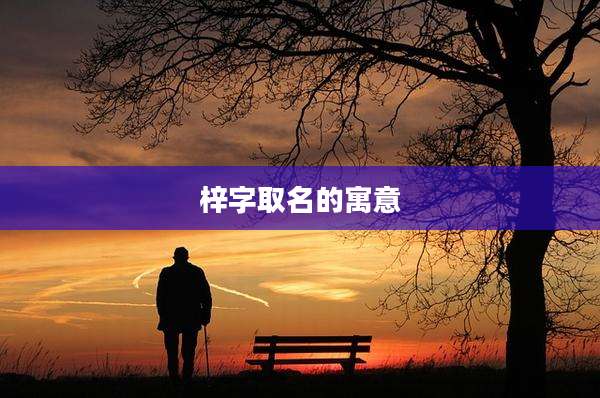 梓字取名的寓意