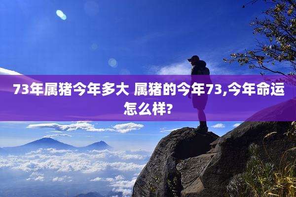 73年属猪今年多大 属猪的今年73,今年命运怎么样?