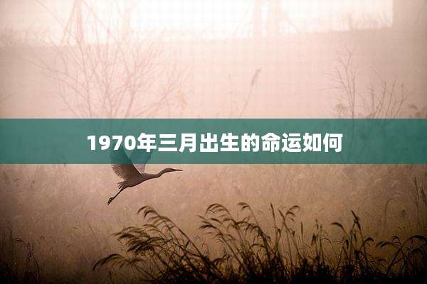 1970年三月出生的命运如何