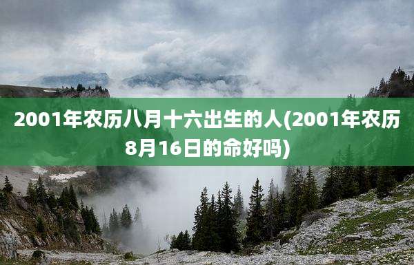 2001年农历八月十六出生的人(2001年农历8月16日的命好吗)