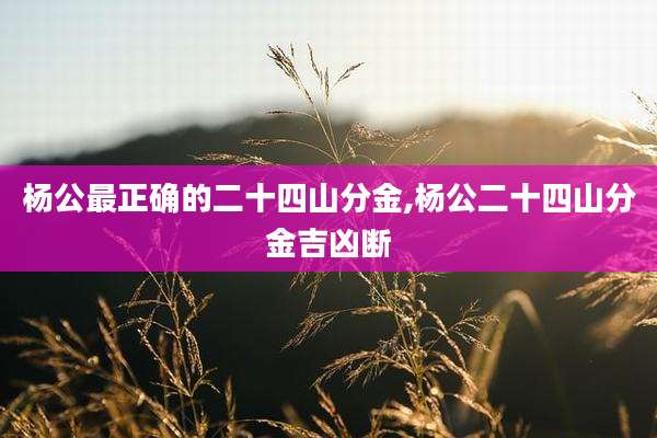杨公最正确的二十四山分金,杨公二十四山分金吉凶断