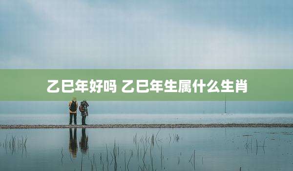 乙巳年好吗 乙巳年生属什么生肖