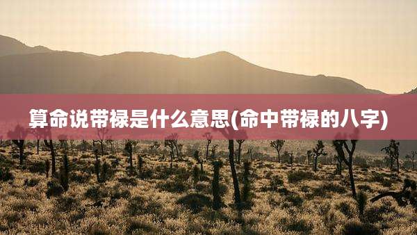 算命说带禄是什么意思(命中带禄的八字)