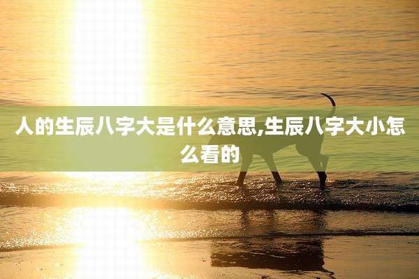 人的生辰八字大是什么意思,生辰八字大小怎么看的