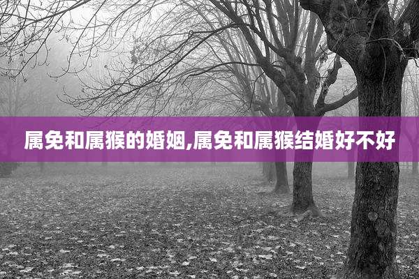 属免和属猴的婚姻,属免和属猴结婚好不好