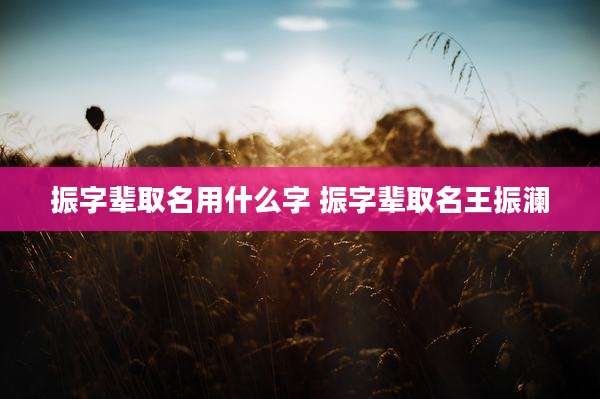 振字辈取名用什么字 振字辈取名王振澜