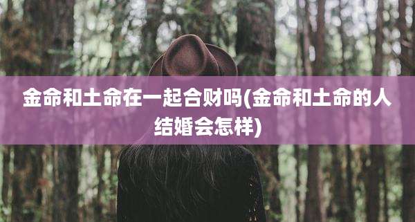 金命和土命在一起合财吗(金命和土命的人结婚会怎样)
