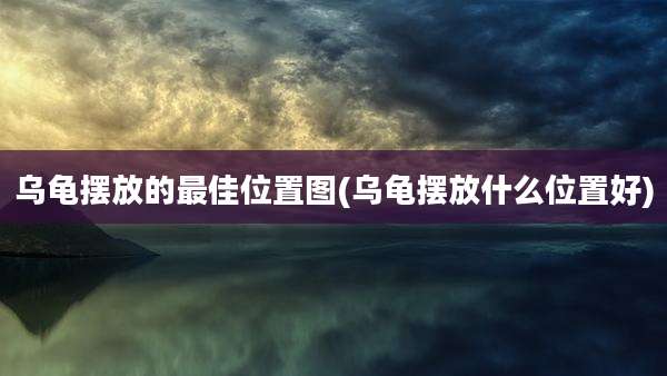 乌龟摆放的最佳位置图(乌龟摆放什么位置好)