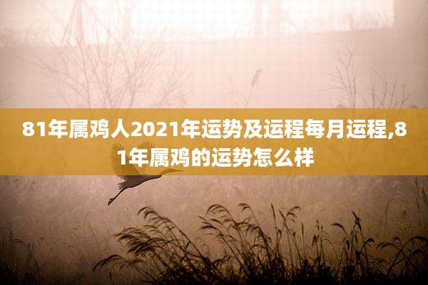 81年属鸡人2021年运势及运程每月运程,81年属鸡的运势怎么样