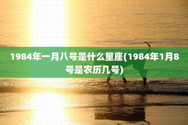 1984年一月八号是什么星座(1984年1月8号是农历几号)