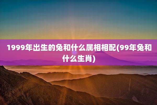 1999年出生的兔和什么属相相配(99年兔和什么生肖)
