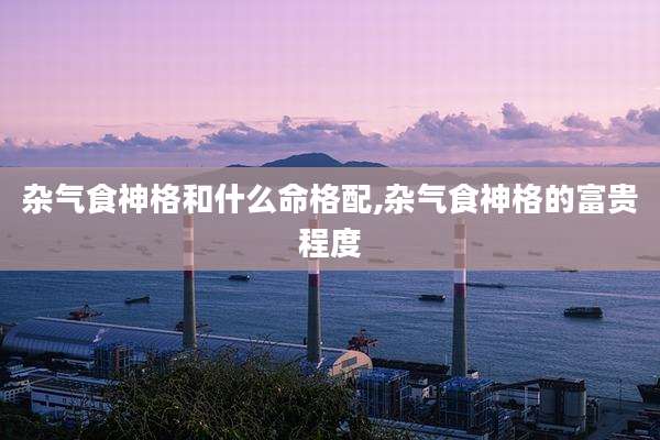 杂气食神格和什么命格配,杂气食神格的富贵程度