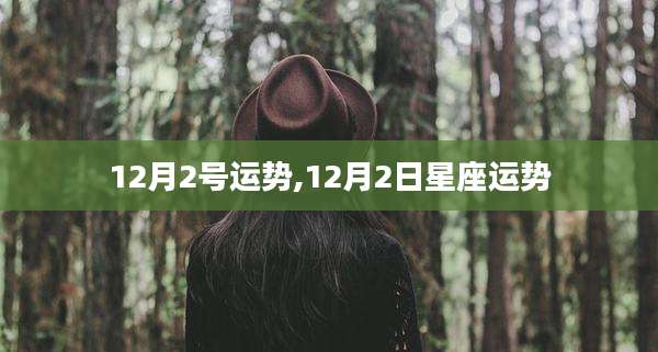12月2号运势,12月2日星座运势