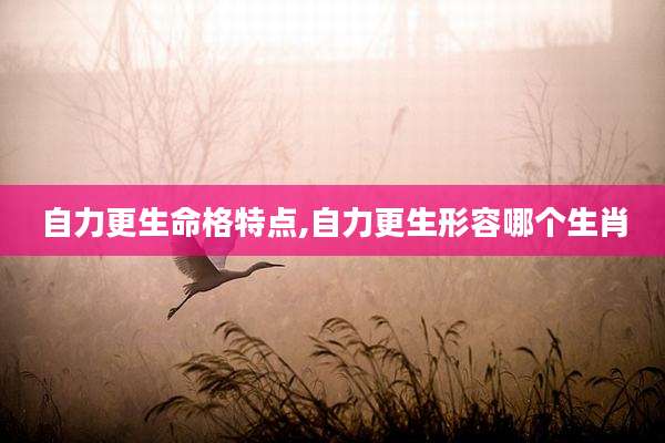 自力更生命格特点,自力更生形容哪个生肖