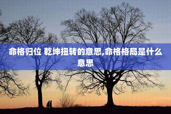 命格归位 乾坤扭转的意思,命格格局是什么意思