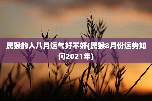 属猴的人八月运气好不好(属猴8月份运势如何2021年)