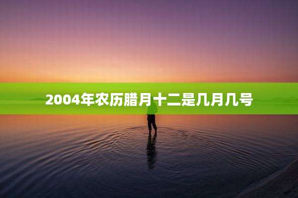 2004年农历腊月十二是几月几号